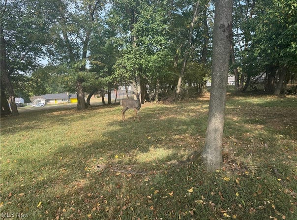 E Ray- 36B Drive, Zanesville, OH 43701