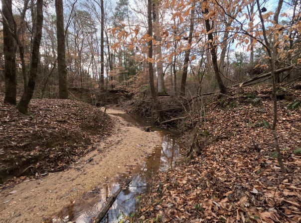 Saint John Road, Braxton, MS 39044