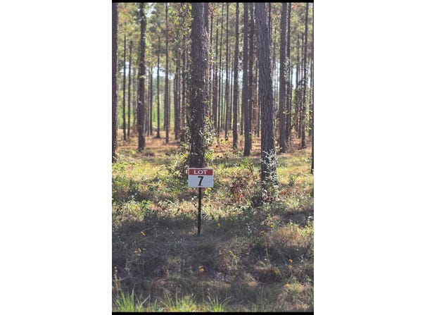 07 Army Recreation Rd, Florien, LA 71429