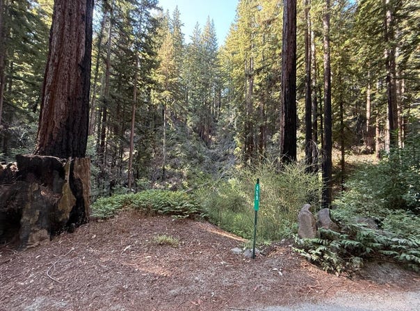 449 Band RD, BOULDER CREEK, CA 95006