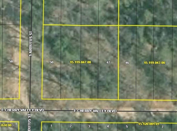 1384 Cherry Valley Drive, Idlewild, MI 49642