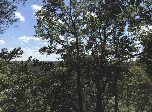 South Fork, Stanton, KY 40380