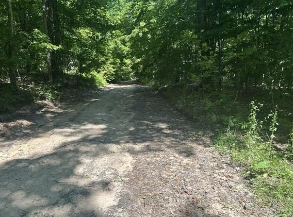 V/L Teal Road, Pellston, MI 49769
