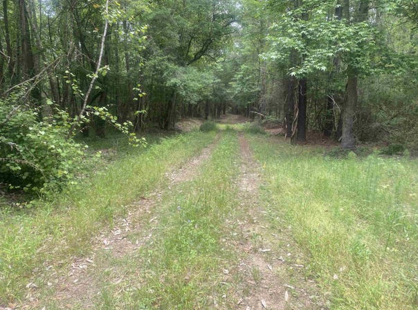 Bruno Rd, Andalusia, AL 36421