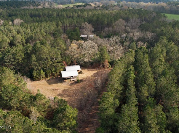 Frog Ridge Road, Jayess, MS 39641