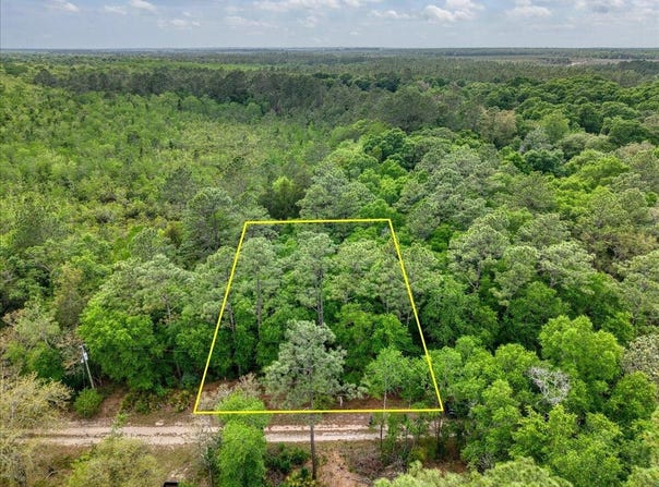 0.17 AC Tango Ln, Harold, FL 32563