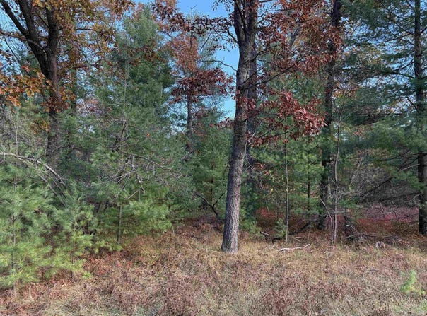 Wilderness Drive lot: 99, Alger, MI 48610