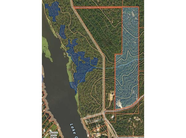 4000 Silk Tree Rd, Gilmer, TX 75647