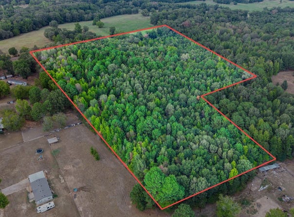 CR 4153, Pittsburg, TX 75686