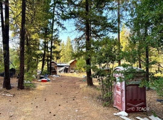 831 Pine Forest Dr, Hayfork, CA 96041