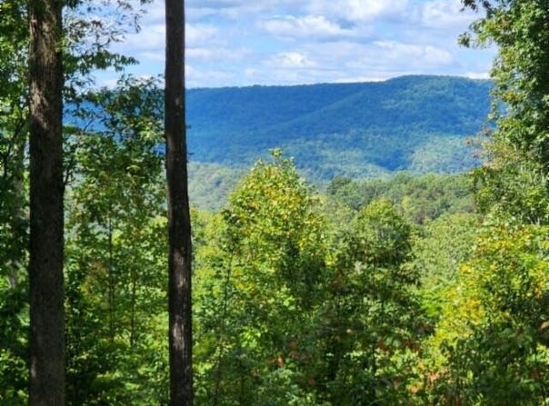 Tomahawk Rd lot: 73, Jamestown, TN 38556