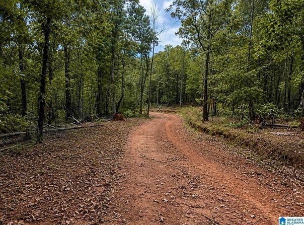 SMITH MILL ROAD lot: 2, DELTA, AL 36258