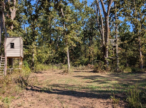 SE 731 Road, Collins, MO 64738
