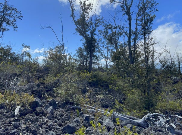 OUTRIGGER DR, Ocean View, HI 96737