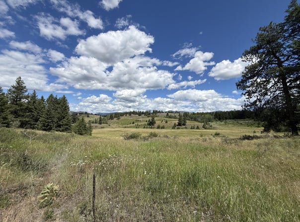 42 TEDESCO Rd, REPUBLIC, WA 99166