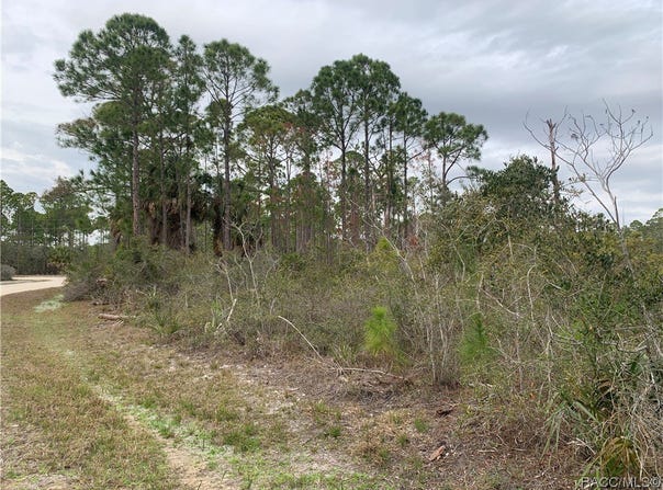 153rd Terrace, Cedar Key, FL 32625