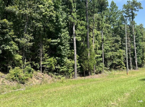 Davidson Road, West Point, GA 31833
