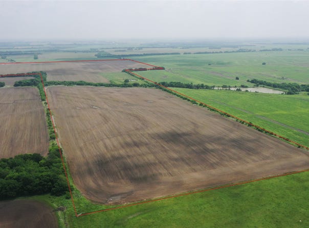 Fm 64, Pecan Gap, TX 75469