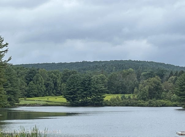 Todd Rd, Gilboa, NY 12076