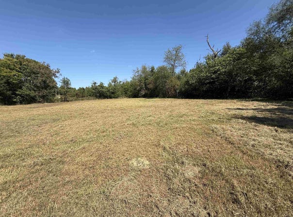 1380 Five Mile Loop, Drasco, AR 72530