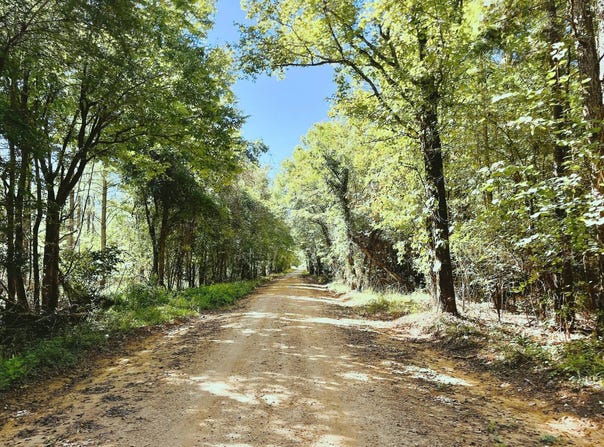 -- Ironweed Road, Edgefield, SC 29824