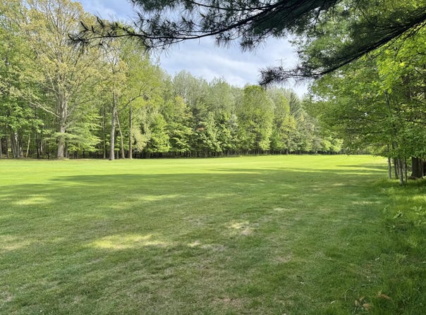 6798 Beechnut Ridge, Canadian Lakes, MI 49346