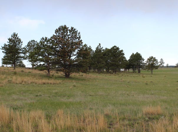 Tract 4 Lariat Circle, Hot Springs, SD 57747-0000