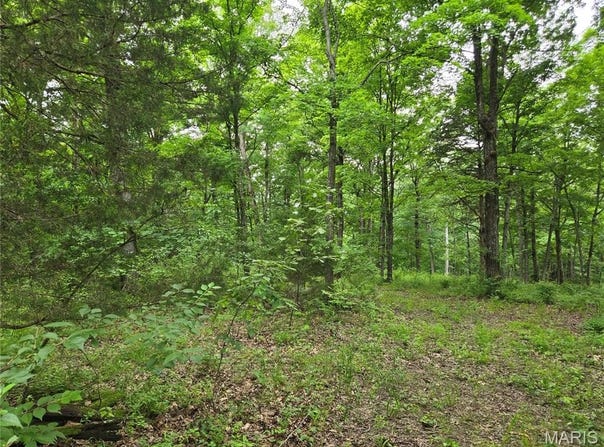 Mark Peterson Drive, Wright City, MO 63390