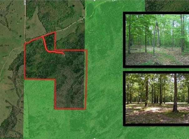 County Road 830, Thornfield, MO 65762