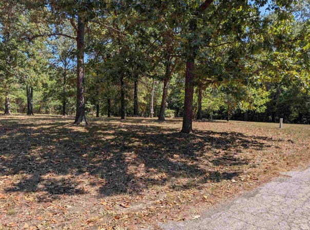 20 Guyon Drive, Cherokee Village, AR 72529