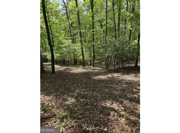 Mill Trace Court, Cleveland, GA 30528