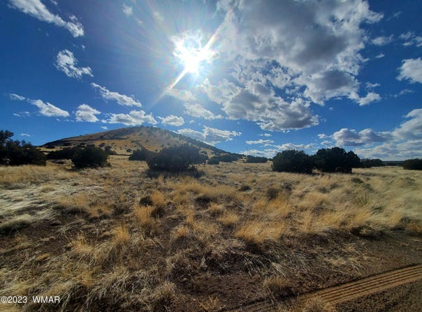 CR 5105, Concho, AZ 85924