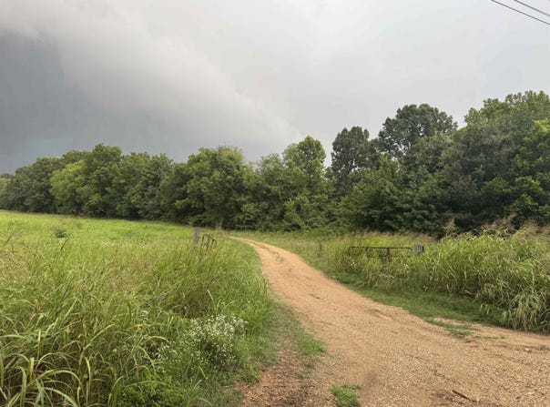 463 County Road 352, Piggott, AR 72454