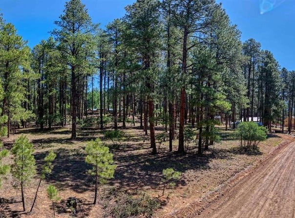 79 Spruce Way, Bayfield, CO 81122