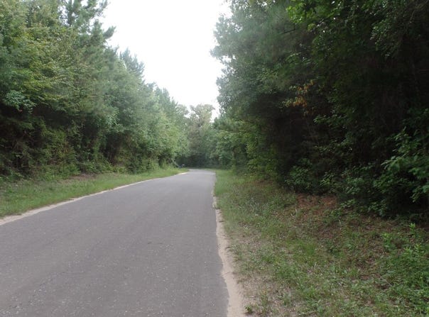 38.655 ac County Road 20, Jasper, TX 75951
