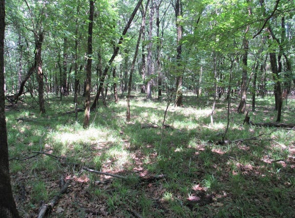 Vireton Rd, Krebs, OK 74554