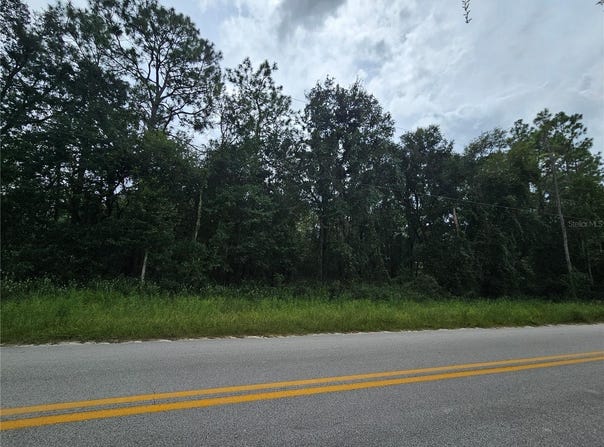 9830 NE 65TH Lane, BRONSON, FL 32621