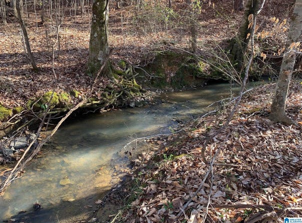 2 MOUNTAINSIDE DRIVE lot: 2, WEST BLOCTON, AL 35184