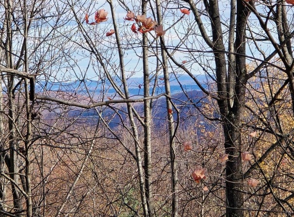 Taylor Mountain Road, Thaxton, VA 24174