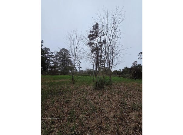 RESI 93J LEKITES lot: 3, CHINCOTEAGUE, VA 23336