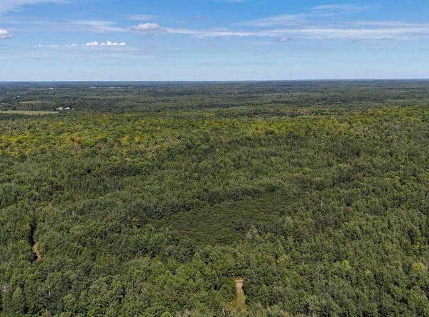80 acres CLAUSEN RD, Prentice, WI 54556