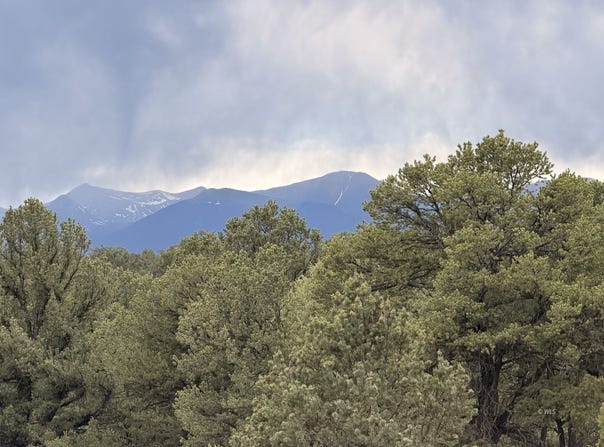 41st Trail, Cotopaxi, CO 81223