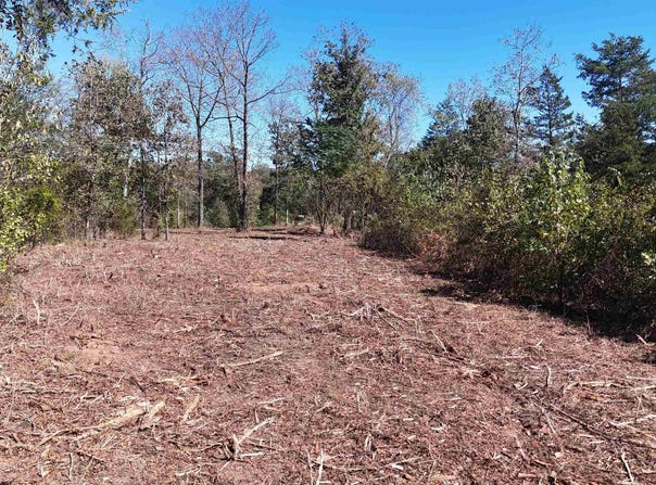 Polk Road 676, Mena, AR 71953