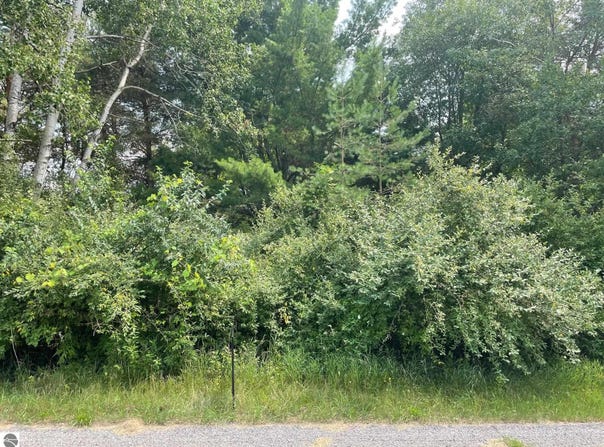 1090 Carmen Drive lot: 43/44, Weidman, MI 48893