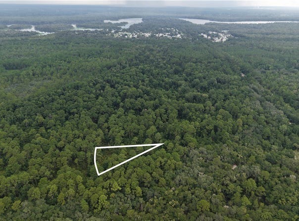 162 Carriage Place, Satsuma, FL 32189