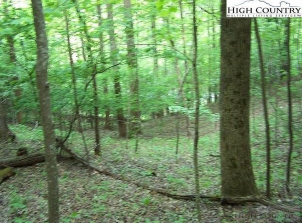 Powder Horn Mountain Road, Deep Gap, NC 28618