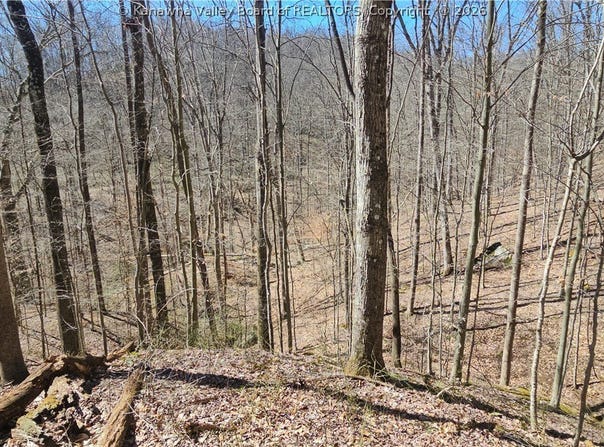 Bufflick Road, Clendenin, WV 25045