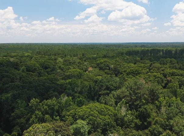 Centennial Road Ext, Thomasville, GA 31792