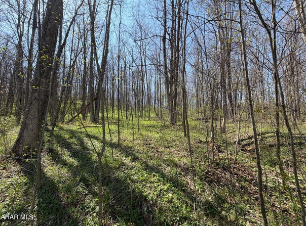 Adj. 216 Rock Cut Road, Central City, PA 15926