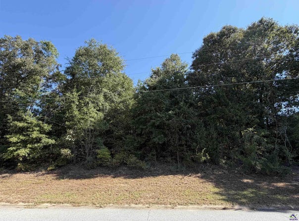 100 Dogwood Glen Drive, Centerville, GA 31028